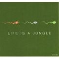 Carte Born 2B - Life is a jungle - 13.